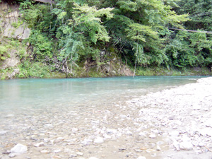 この十津川村の川はとても澄んでいる水でした