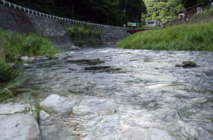 透き通った水が沢山ありました